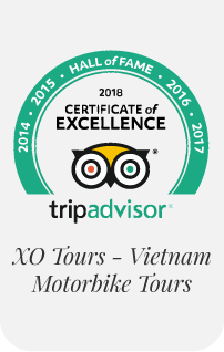TripAdvisor